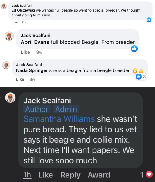 File:Pure bread disproven.png